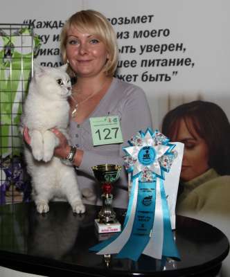 �������� ����� '������� ���-�����' 30 ������-1 ������� 2013., WCF-����� 2659